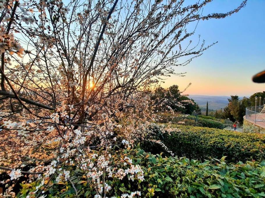 Villa Tutti I Colori Del Chianti Linari Extérieur photo