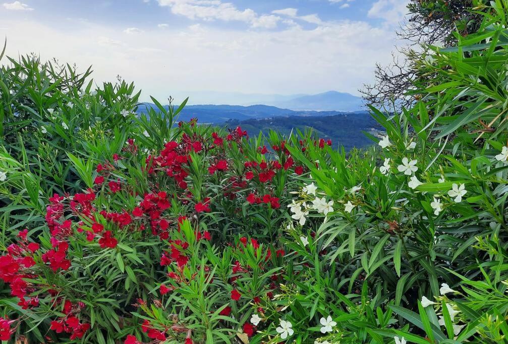 Villa Tutti I Colori Del Chianti Linari Extérieur photo